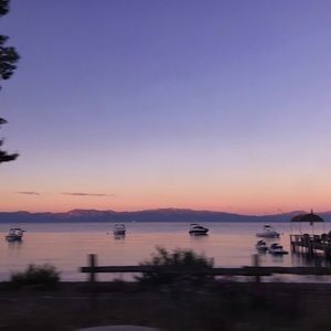 Meet your Posher, Dominique